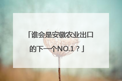 谁会是安徽农业出口的下一个NO.1？