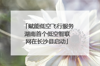 赋能低空飞行服务 湖南首个低空智联网在长沙县启动