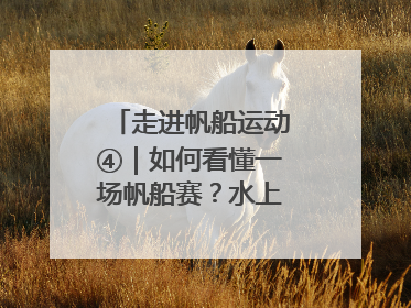 走进帆船运动④｜如何看懂一场帆船赛？水上的“速度与激情”同样精彩