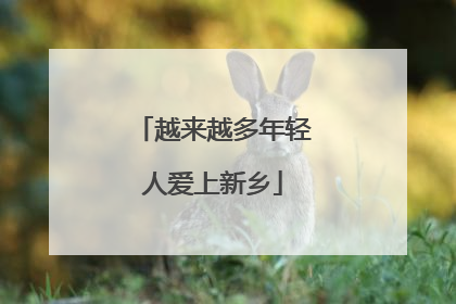 越来越多年轻人爱上新乡