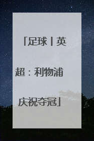 足球丨英超：利物浦庆祝夺冠