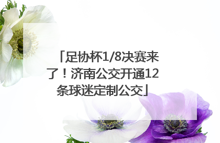 足协杯1/8决赛来了！济南公交开通12条球迷定制公交