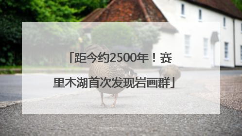 距今约2500年！赛里木湖首次发现岩画群