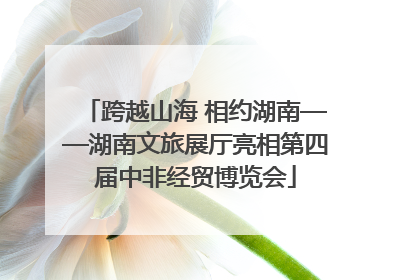 跨越山海 相约湖南——湖南文旅展厅亮相第四届中非经贸博览会