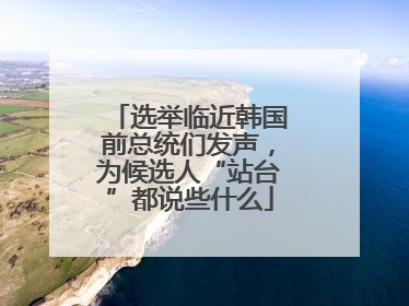 选举临近韩国前总统们发声，为候选人“站台”都说些什么