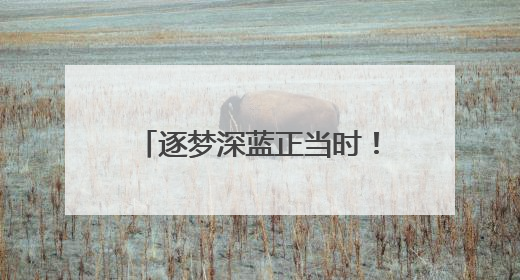 逐梦深蓝正当时！《关于推动海洋经济高质量发展的提案》背后的故事
