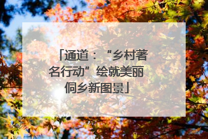 通道：“乡村著名行动”绘就美丽侗乡新图景
