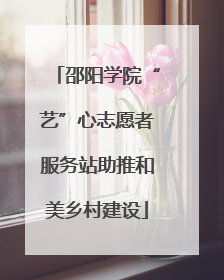 邵阳学院“艺”心志愿者服务站助推和美乡村建设