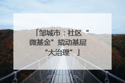 邹城市：社区“微基金”撬动基层“大治理”