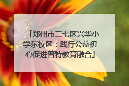 郑州市二七区兴华小学东校区：践行公益初心促进普特教育融合