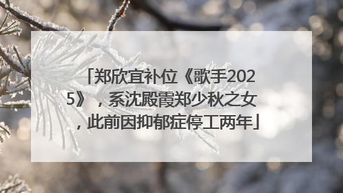 郑欣宜补位《歌手2025》，系沈殿霞郑少秋之女，此前因抑郁症停工两年