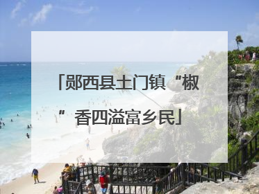 郧西县土门镇“椒”香四溢富乡民