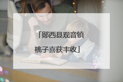 郧西县观音镇桃子喜获丰收