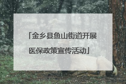 金乡县鱼山街道开展医保政策宣传活动