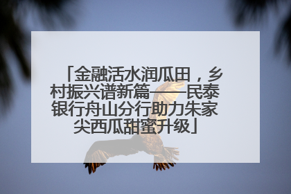 金融活水润瓜田，乡村振兴谱新篇——民泰银行舟山分行助力朱家尖西瓜甜蜜升级