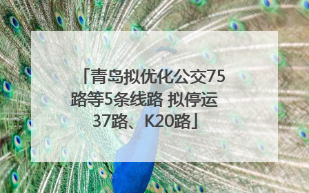 青岛拟优化公交75路等5条线路 拟停运37路、K20路