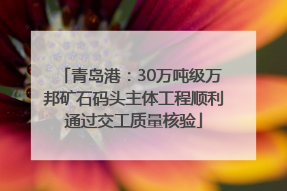 青岛港：30万吨级万邦矿石码头主体工程顺利通过交工质量核验