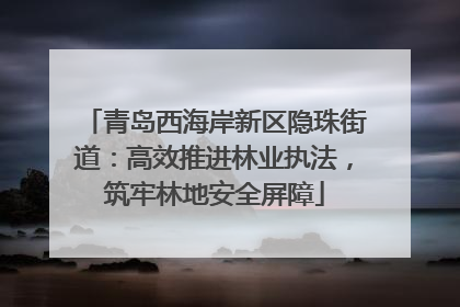 青岛西海岸新区隐珠街道：高效推进林业执法，筑牢林地安全屏障