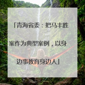 青海省委：把马丰胜案作为典型案例，以身边事教育身边人