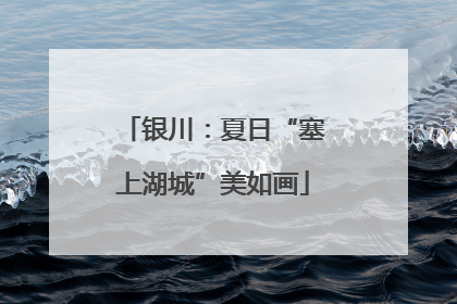 银川：夏日“塞上湖城”美如画