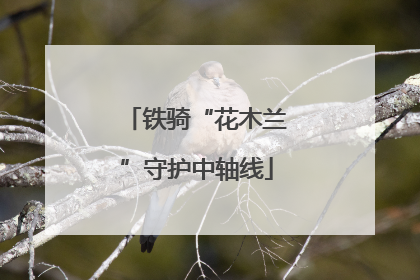 铁骑“花木兰”守护中轴线