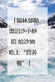 锡林郭勒盟治沙小妙招 给沙地吃上“营养餐”