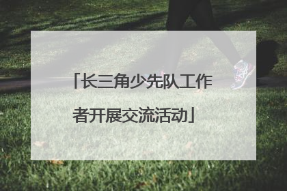 长三角少先队工作者开展交流活动