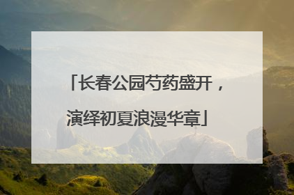 长春公园芍药盛开，演绎初夏浪漫华章