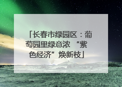 长春市绿园区：葡萄园里绿意浓 “紫色经济”焕新枝