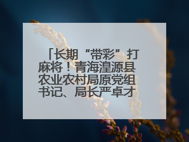 长期“带彩”打麻将！青海湟源县农业农村局原党组书记、局长严卓才被“双开”