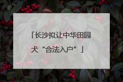 长沙拟让中华田园犬“合法入户”