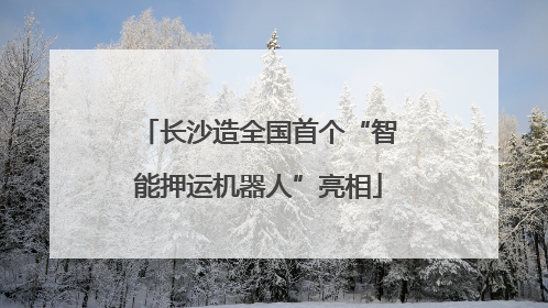 长沙造全国首个“智能押运机器人”亮相