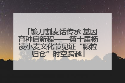 镰刀割麦话传承 基因育种启新程——第十届杨凌小麦文化节见证“颗粒归仓”时空跨越