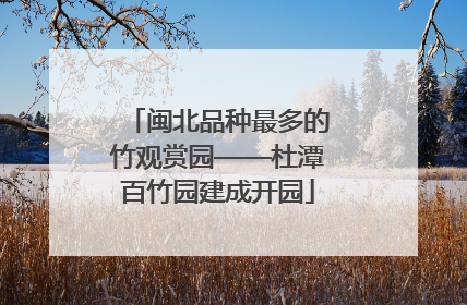 闽北品种最多的竹观赏园——杜潭百竹园建成开园