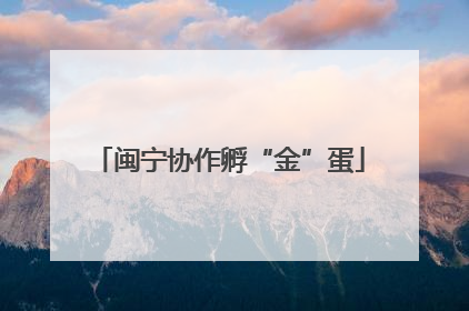 闽宁协作孵“金”蛋