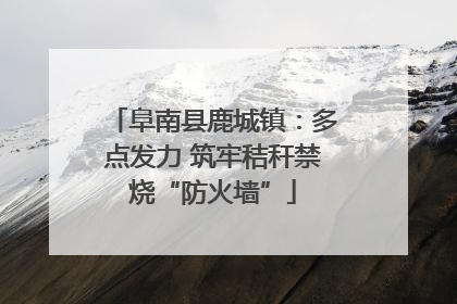 阜南县鹿城镇：多点发力 筑牢秸秆禁烧“防火墙”