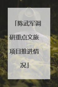 陈武军调研重点文旅项目推进情况