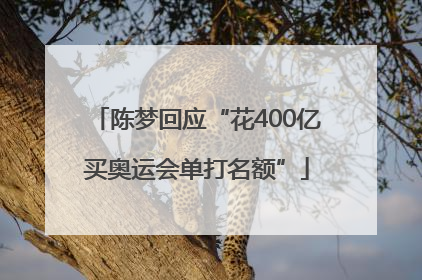 陈梦回应“花400亿买奥运会单打名额”