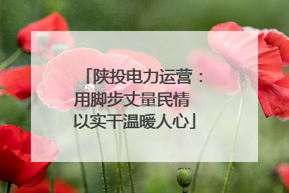 陕投电力运营：用脚步丈量民情 以实干温暖人心