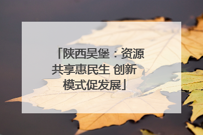 陕西吴堡：资源共享惠民生 创新模式促发展