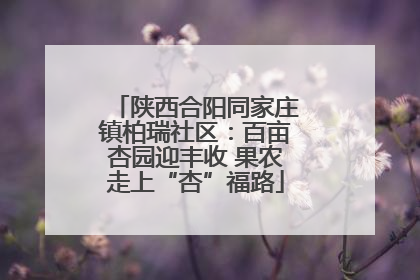 陕西合阳同家庄镇柏瑞社区：百亩杏园迎丰收 果农走上“杏”福路