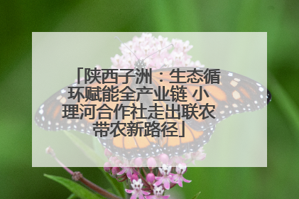 陕西子洲：生态循环赋能全产业链 小理河合作社走出联农带农新路径