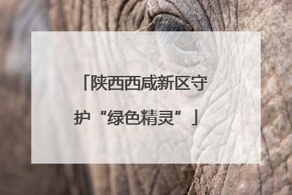 陕西西咸新区守护“绿色精灵”