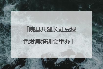 院县共建长豇豆绿色发展培训会举办