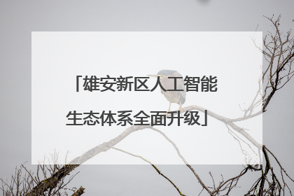 雄安新区人工智能生态体系全面升级