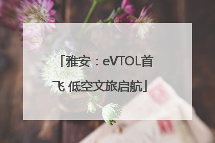 雅安：eVTOL首飞 低空文旅启航