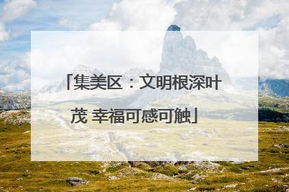 集美区：文明根深叶茂 幸福可感可触