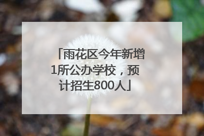 雨花区今年新增1所公办学校，预计招生800人