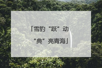 雪豹“跃”动 “典”亮青海