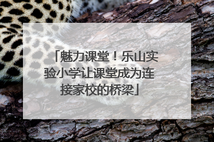 魅力课堂！乐山实验小学让课堂成为连接家校的桥梁